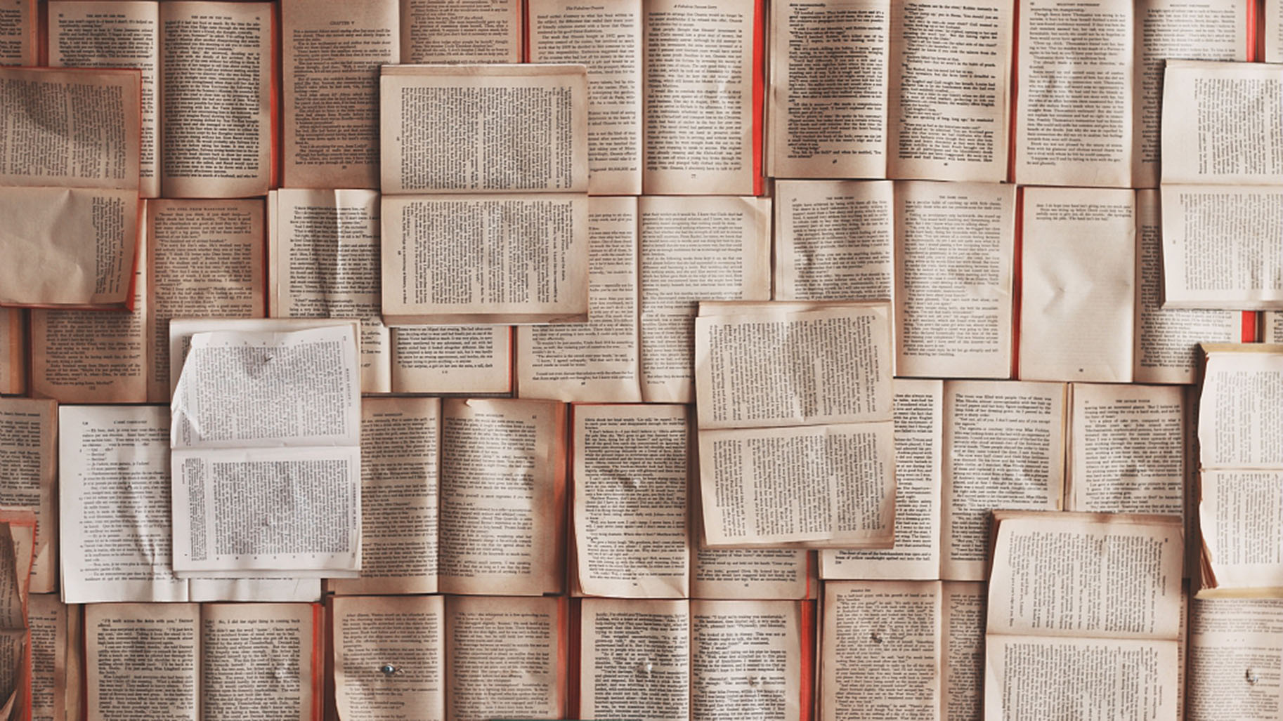 Lot à livre ouvert